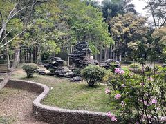-滴水岩森林公园