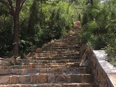 -龙口南山旅游景区