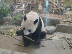 -南宫五洲植物乐园