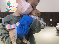 -逗柴咖啡屋·狗咖猫咖宠物桌游