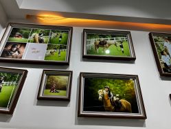 -可优蜜儿童摄影