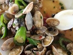 尖椒炒花甲-乡味海鲜农家菜·巽寮土窑鸡(地道美食店)