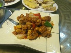 -黄B湛江鸡饭店(粤垦路店)