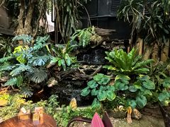 -Fern Forest Cafe