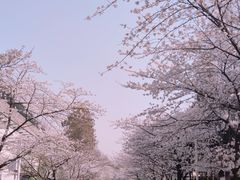 -鸡鸣寺