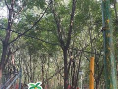 -草根堂农场