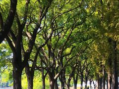 -食膳公园包子铺(烈士公园店)