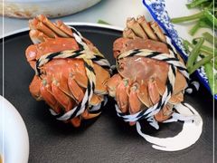 -七的湖·晚芳亭·阳澄湖农家菜·大闸蟹(莲花岛店)
