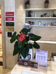 点击看大图 -昆明梦想医疗美容医院