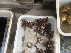 -中环花鸟鱼虫市场
