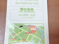 -合肥滨湖国家森林公园