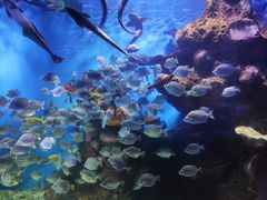 -多彩贵州城极地海洋世界