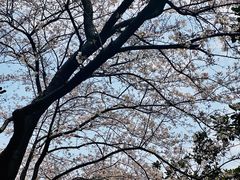 -中国银行(上海市新闸路支行)