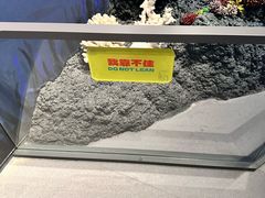 -中国湿地博物馆