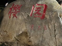 -武汉大学-樱园