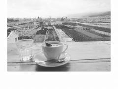 -翠田Green Field Kitchen