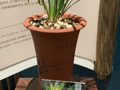 -墨池公园
