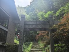 -午潮山国家森林公园