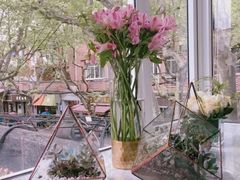 -蝶舍·MAISON PAPILLON