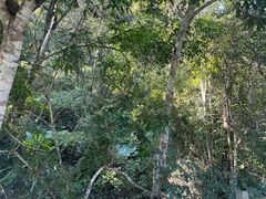 -野象谷景区