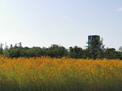 -南汇新城城市公园