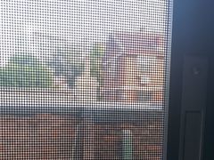 -成桂西餐厅·42年的味道(五大道疙瘩楼店)