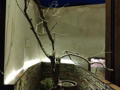 -几荷·恰似故人来(秀水广场店)