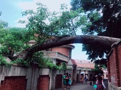 -好久不见网红乐队酒吧(鼓浪屿海底世界店)