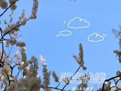 -颐和园
