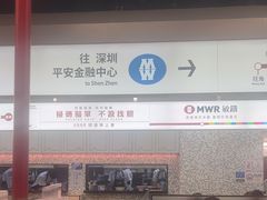 -敏华冰厅(平安金融中心店)