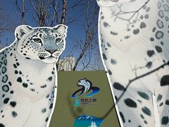 -青藏高原野生动物园