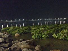 -宝安西湾红树林湿地公园