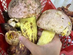 -双喜农庄·菌香园(安居家园店)