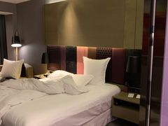 -南京禄口机场雅高铂尔曼大酒店