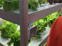 -盒马鲜生(大成店)