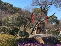 -无锡梅园公园