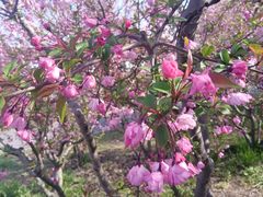 -共青国家森林公园-售票处