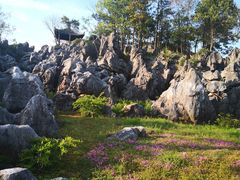 -千岛湖石林
