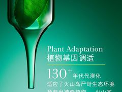 -DFS迪斐世(澳门四季名店)