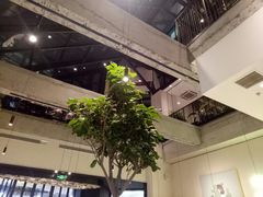 -大树餐厅(红旗街万达店)