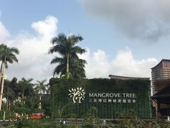 -三亚湾红树林度假世界(木棉酒店)
