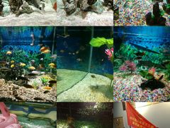 -绍兴梦享海洋公园