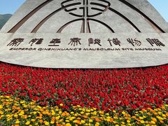 -秦始皇帝陵博物院(兵马俑)