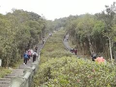 -梧桐山风景名胜区