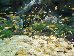 -福州罗源湾海洋世界旅游区