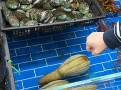 -济南海鲜大市场