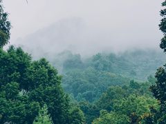 -嘉龙茶庄