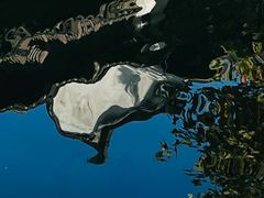 -黎里古镇