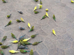 iphone_upload_pic-世界地热博览园