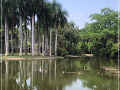 -中国科学院西双版纳热带植物园